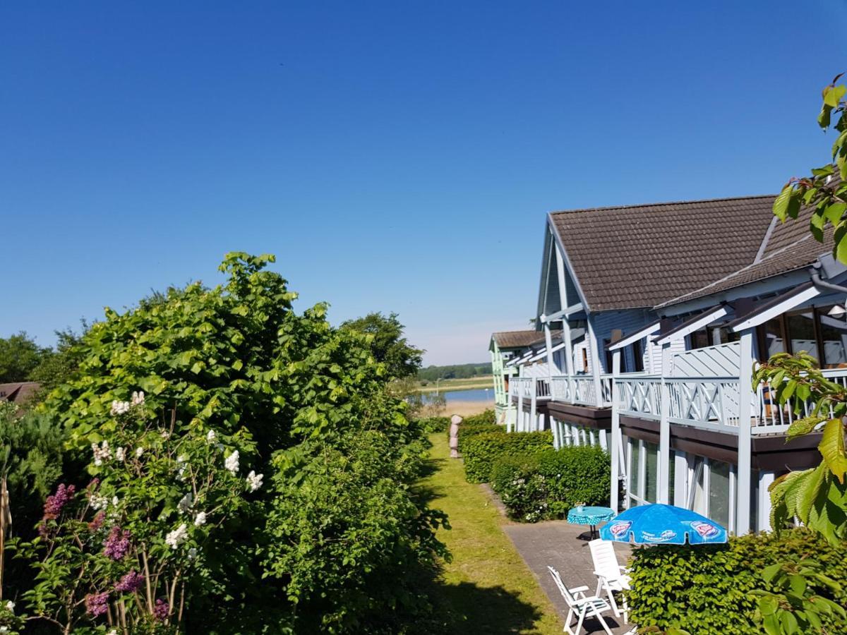 Ferienwohnung 14 Im Fischerhaus Mit Balkon ゼリン エクステリア 写真